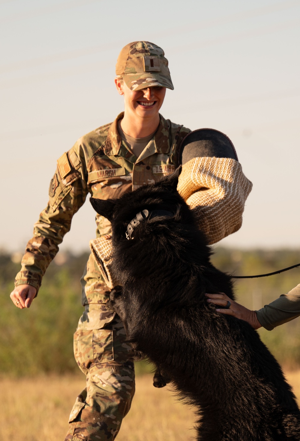 Miss America gets bit by military working dog