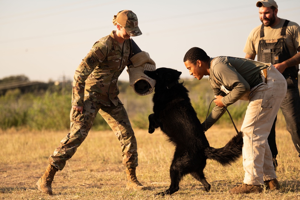 Miss America gets bit by military working dog