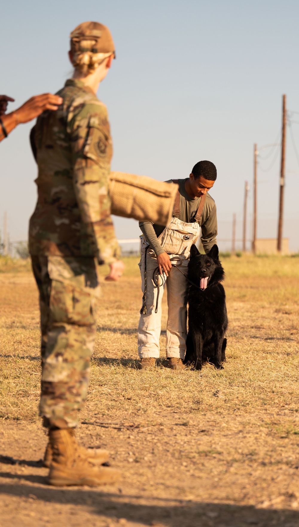 Miss America gets bit by military working dog