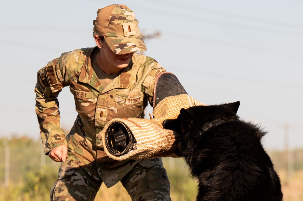 Miss America gets bit by military working dog