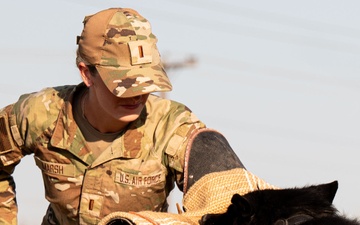 Miss America gets bit by military working dog