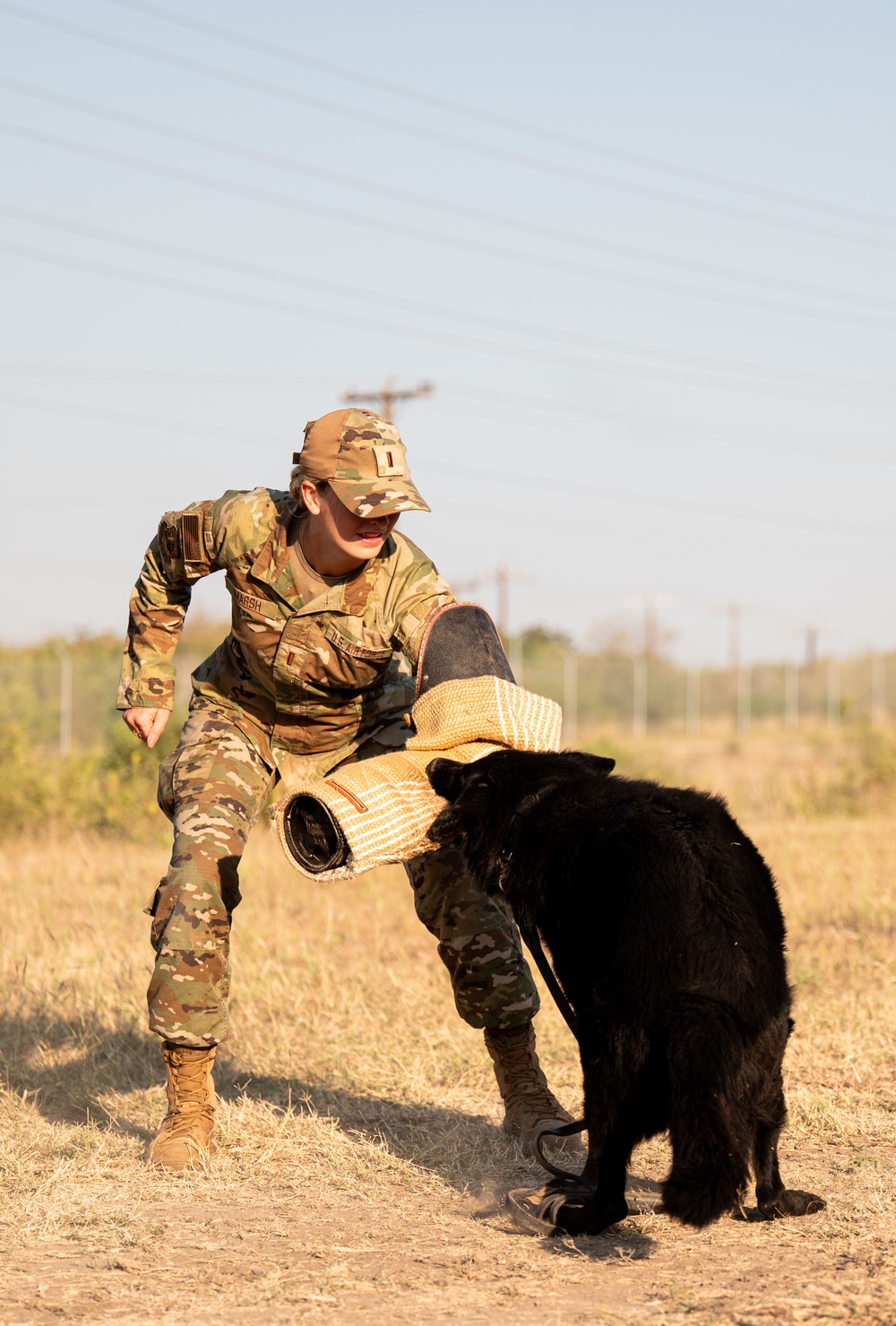 Miss America gets bit by military working dog