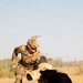 Miss America gets bit by military working dog