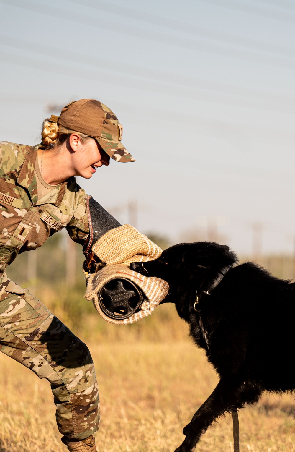 Miss America gets bit by military working dog