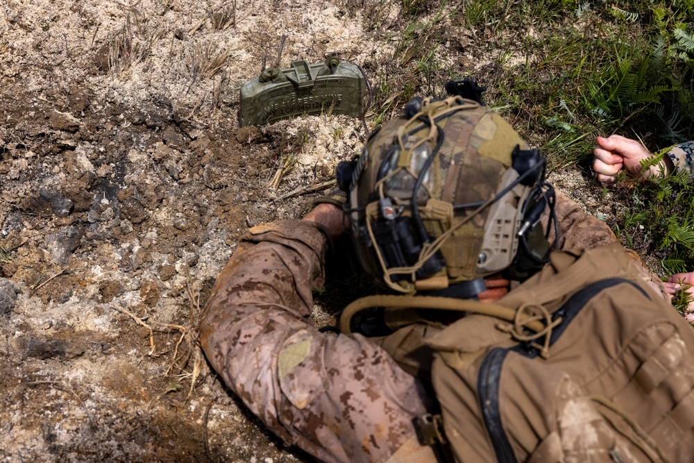 3d Recon Ambush Drills