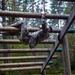 7th ATC HHC Air Assault Pre-Assessment Obstacle Course