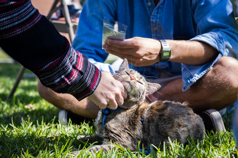 Blessing of the Animals