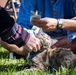 Blessing of the Animals