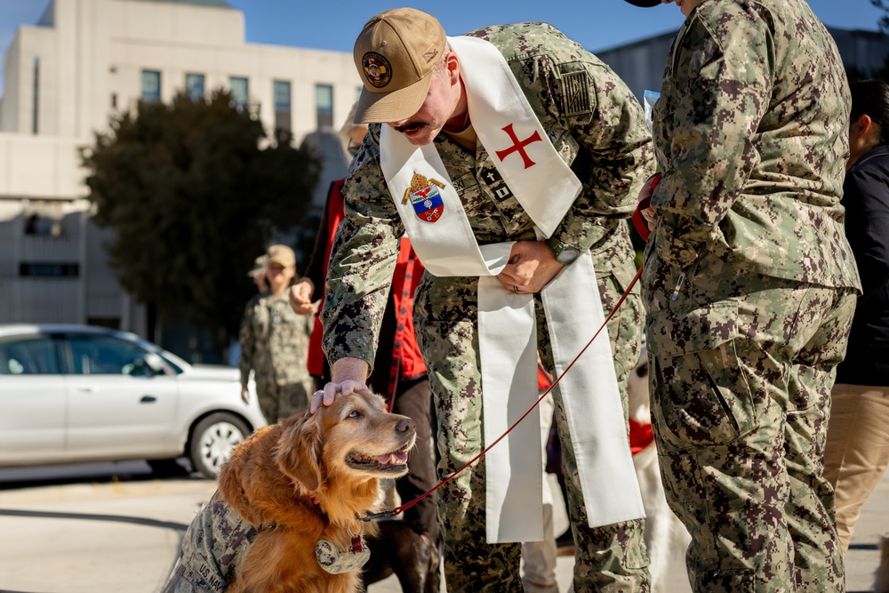 Walter Reed National Military Medical Center Holds Annual Blessings of the Animal's Ceremony