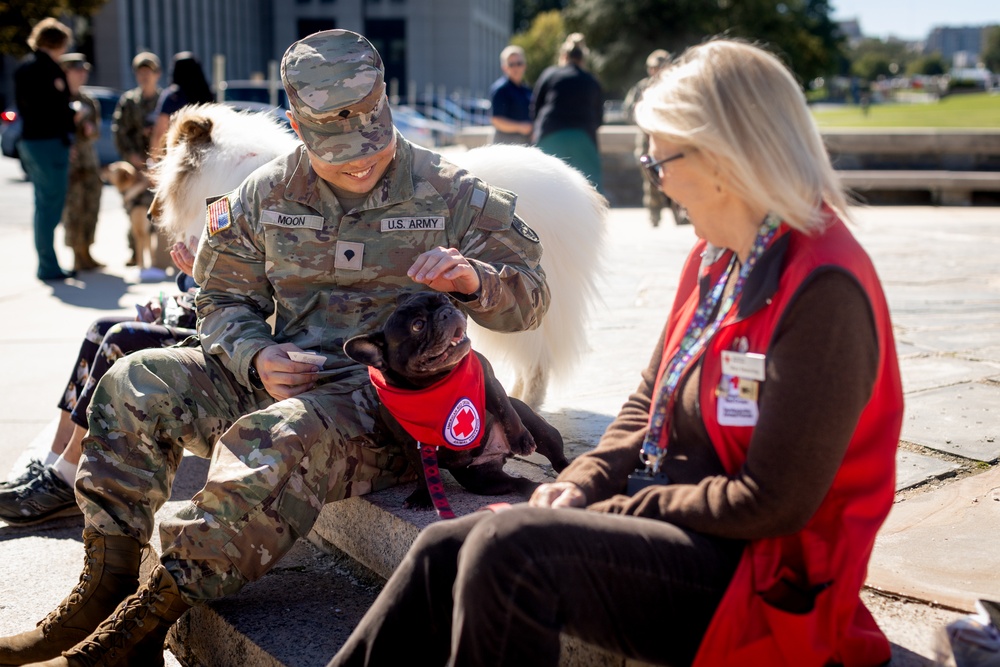Walter Reed National Military Medical Center Holds Annual Blessings of the Animal's Ceremony
