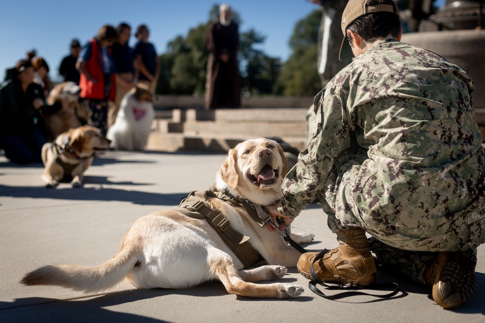 Walter Reed National Military Medical Center Holds Annual Blessings of the Animal's Ceremony
