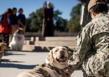 Walter Reed National Military Medical Center Holds Annual Blessings of the Animal's Ceremony