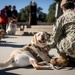 Walter Reed National Military Medical Center Holds Annual Blessings of the Animal's Ceremony