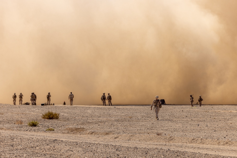 8th Engineer Support Battalion Conducts Helicopter Support Team operations during Weapons and Tactics Instructor Course 1-25