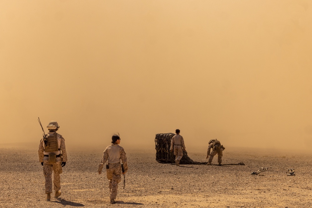 8th Engineer Support Battalion Conducts Helicopter Support Team operations during Weapons and Tactics Instructor Course 1-25