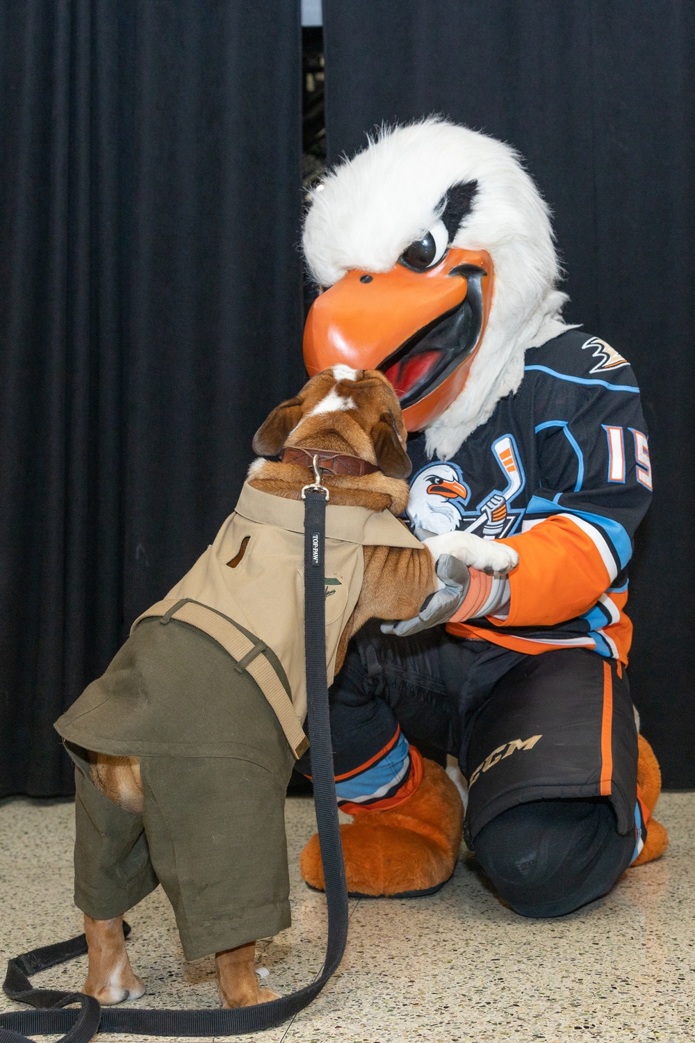 Gulls Hockey Game/ Mascot Monday