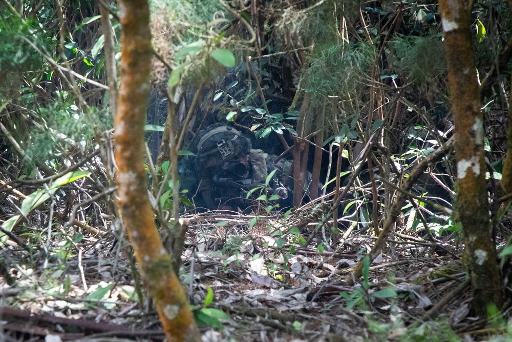 3-4 CAV Trains Alongside JGSDF during JPMRC 25-01