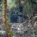 3-4 CAV Trains Alongside JGSDF during JPMRC 25-01