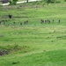 Exercises Combined Response 24 DV Day