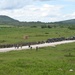 Exercises Combined Response 24 DV Day