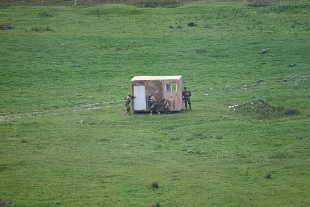 Exercises Combined Response 24 DV Day