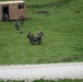 Exercises Combined Response 24 DV Day