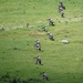 AFBiH Infantry Battalion Live Fire Exercise DV Day