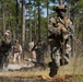 3rd Battalion, 6th Marine Regiment, 2nd Marine Division, Apex, Marine Corps Combat Readiness Evaluation