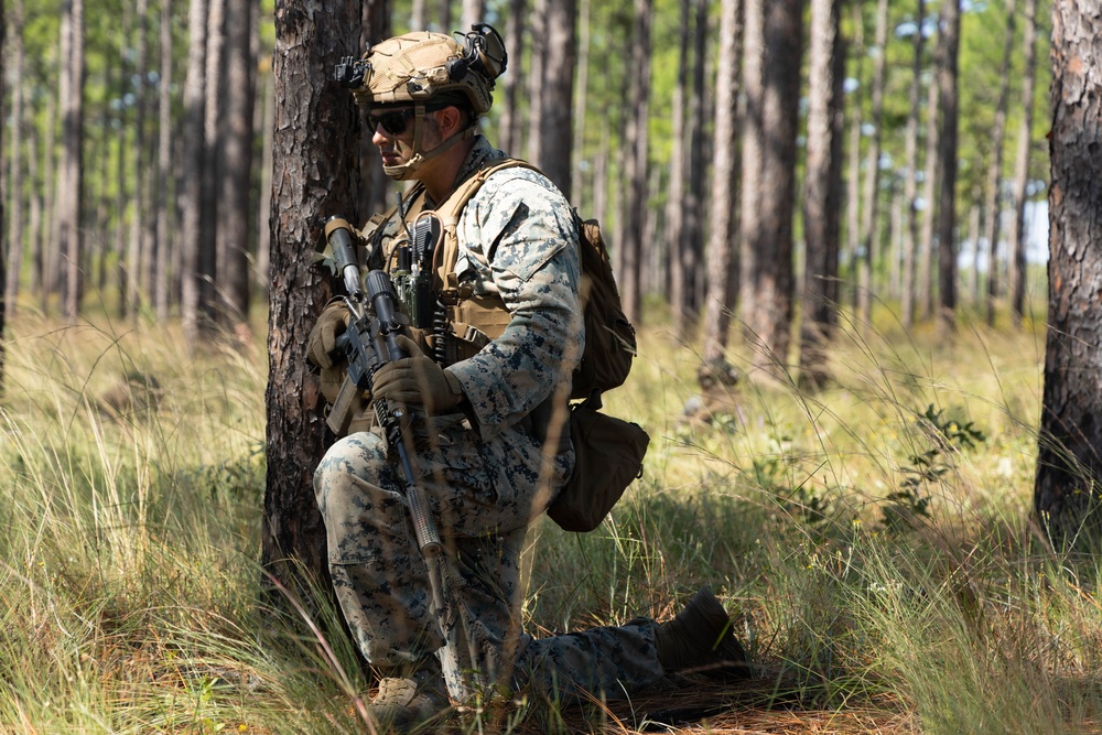 3rd Battalion, 6th Marine Regiment, 2nd Marine Division, Apex, Marine Corps Combat Readiness Evaluation