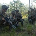 3rd Battalion, 6th Marine Regiment, 2nd Marine Division, Apex, Marine Corps Combat Readiness Evaluation