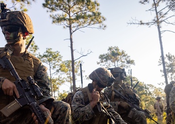 3rd Battalion, 6th Marine Regiment, APEX Marine Corps Combat Readiness Evaluation