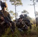 3rd Battalion, 6th Marine Regiment, APEX Marine Corps Combat Readiness Evaluation