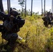 3rd Battalion, 6th Marine Regiment, APEX Marine Corps Combat Readiness Evaluation