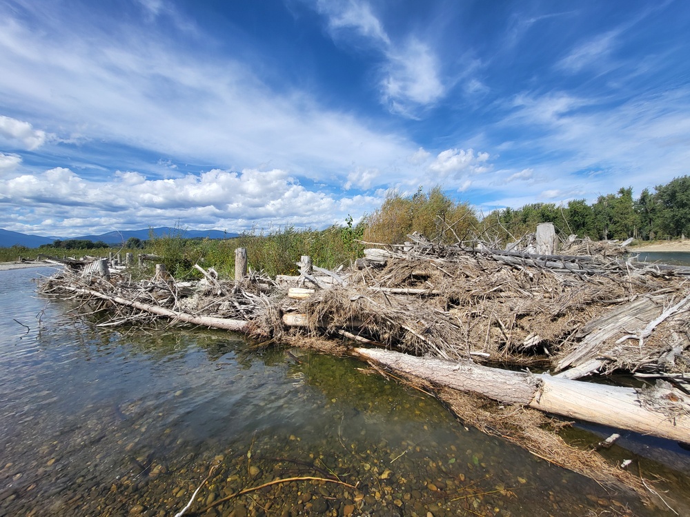 Libby Dam Engineering with Nature Project