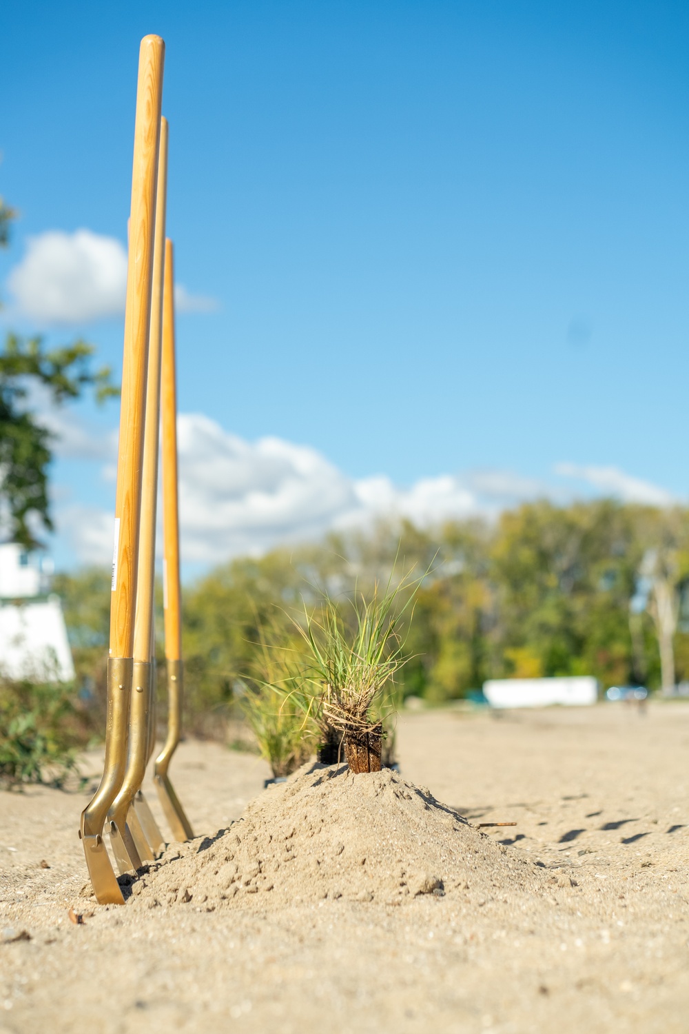 Celebrating Completion of Coastal Wetland Restoration