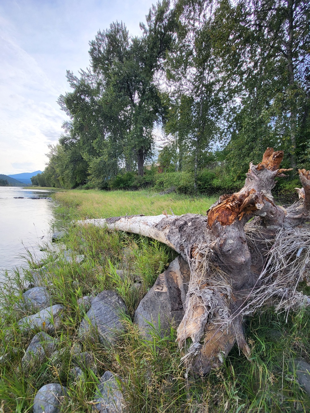 Libby Dam Engineering with Nature Project