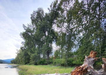 Libby Dam Engineering with Nature Project