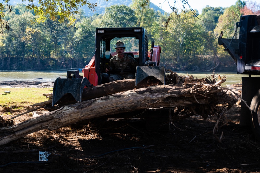 Moving fallen trees