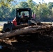 Moving fallen trees