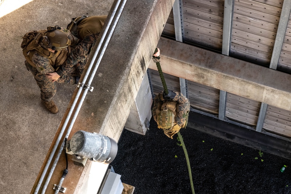 2/6 Rappel and Fast Rope Training