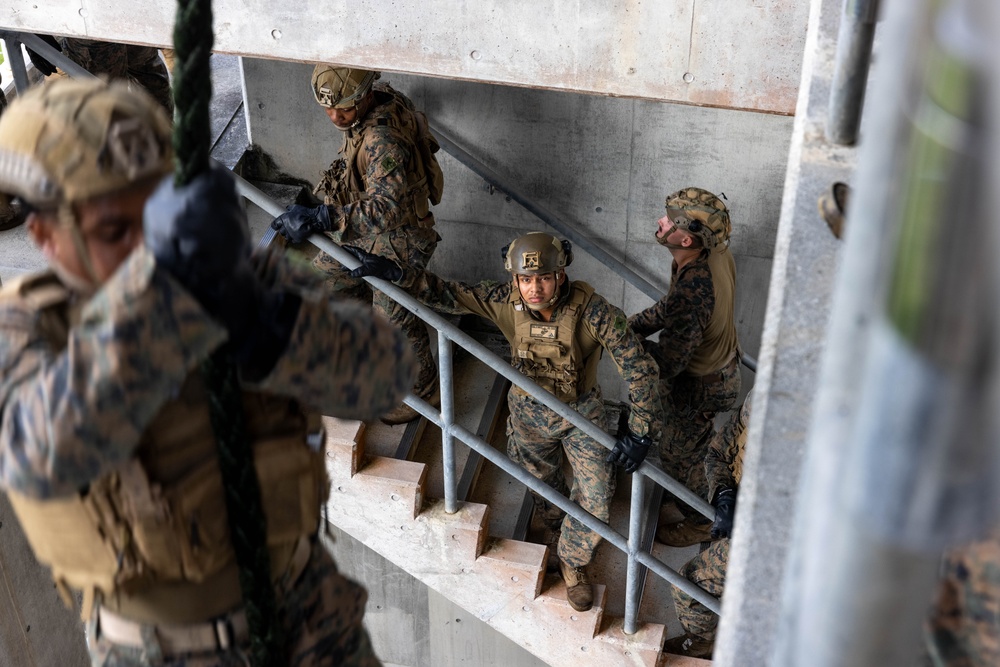 2/6 Rappel and Fast Rope Training