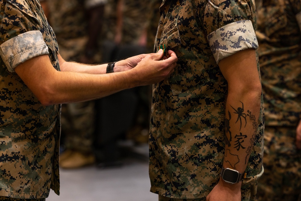 Marines Awarded the Navy and Marine Corps Achievement Medal for Life Saving Actions