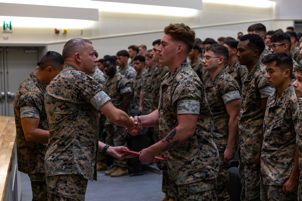 Marines Awarded the Navy and Marine Corps Achievement Medal for Life Saving Actions