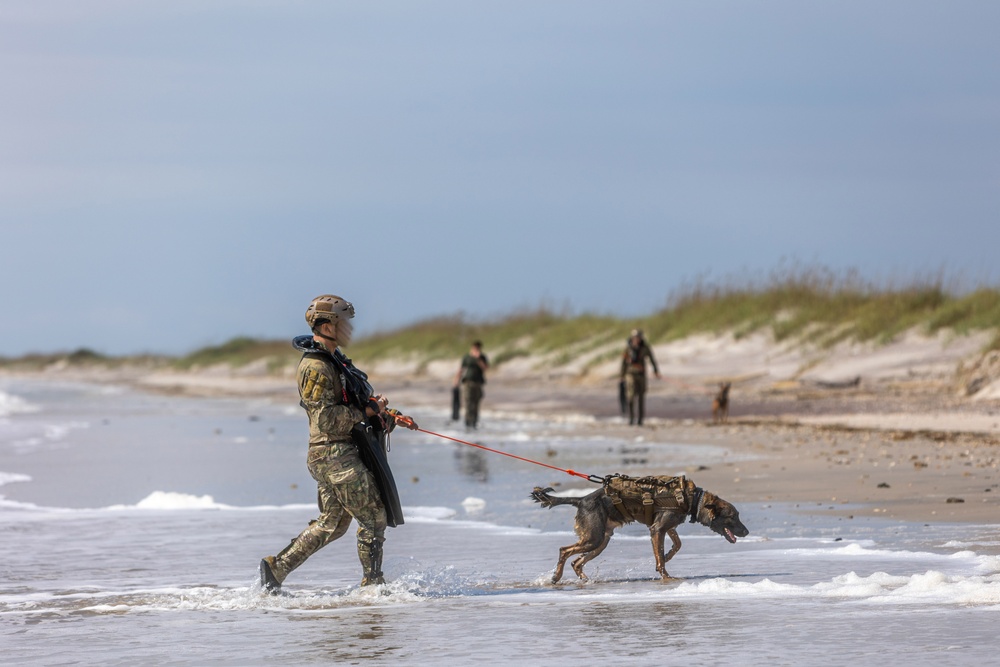 Multi-Purpose Canines Conduct Amphibious and Aerial Fast-Roping Training