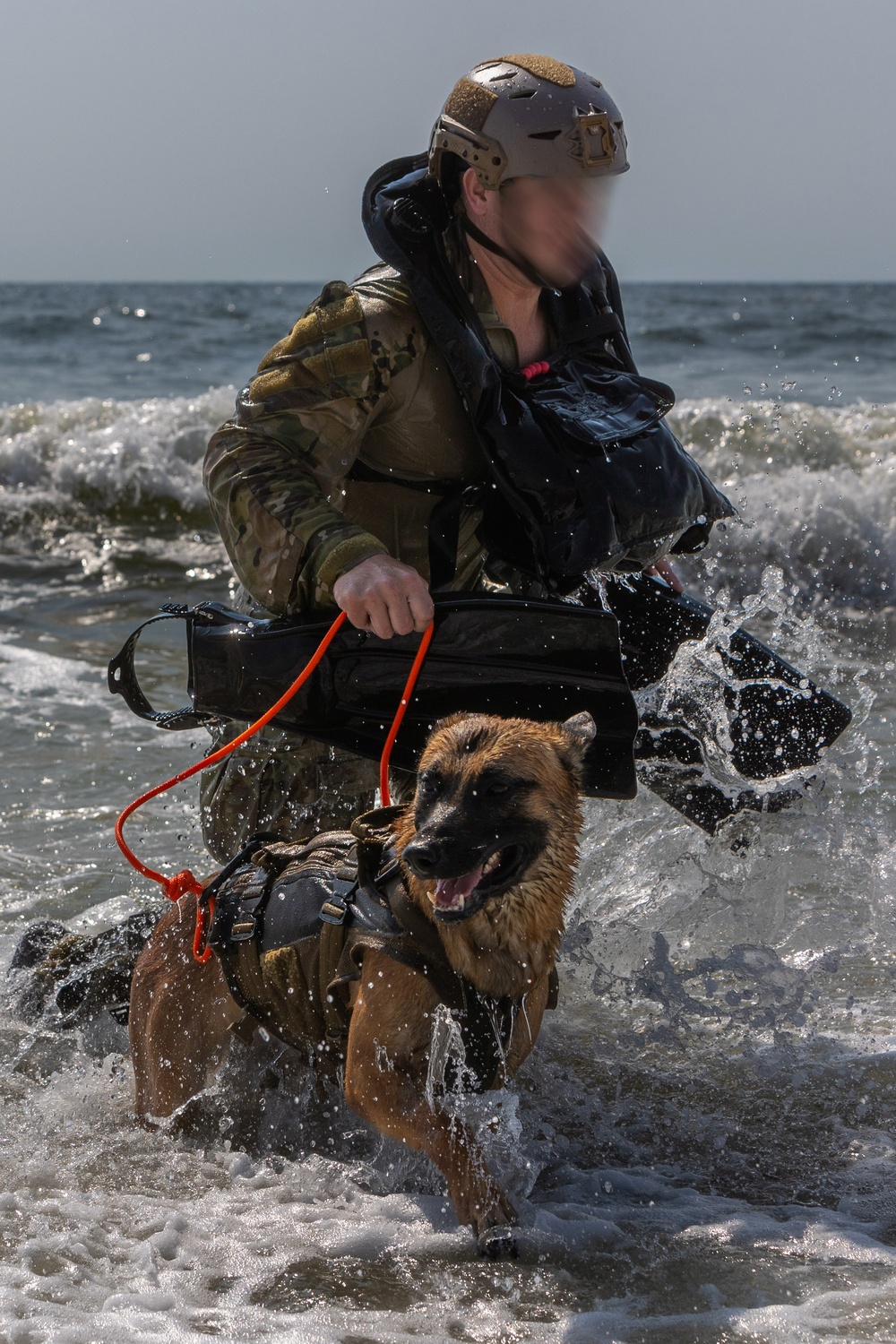 Multi-Purpose Canines Conduct Amphibious and Aerial Fast-Roping Training