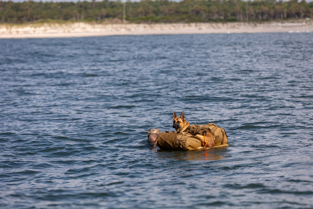 Multi-Purpose Canines Conduct Amphibious and Aerial Fast-Roping Training