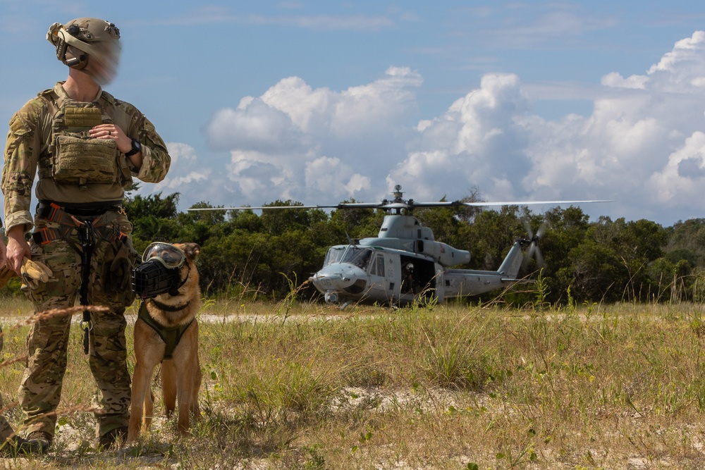 Multi-Purpose Canines Conduct Amphibious and Aerial Fast-Roping Training