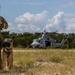 Multi-Purpose Canines Conduct Amphibious and Aerial Fast-Roping Training