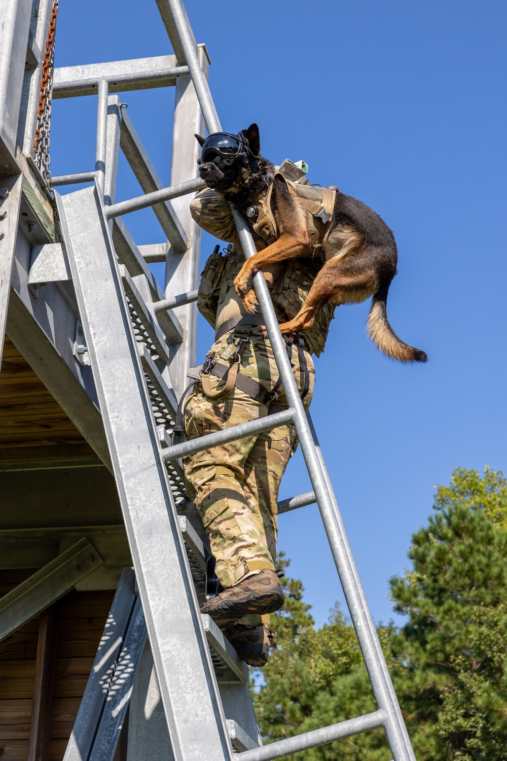 MARSOC’s Multi-Purpose Canines Practice Fast-Roping