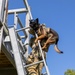 MARSOC’s Multi-Purpose Canines Practice Fast-Roping